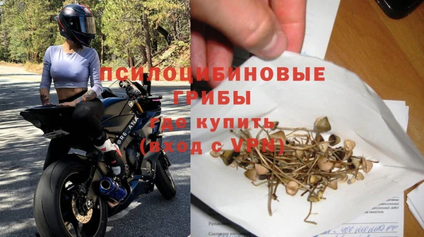 гидра Алексин