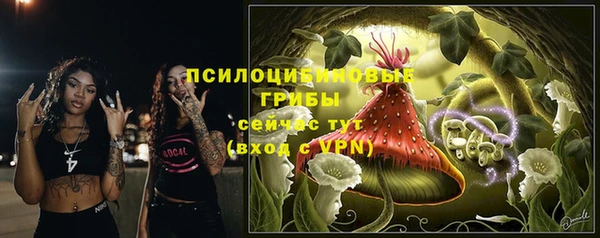 гидра Алексин