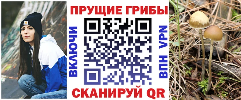 наркошоп  Шацк  Псилоцибиновые грибы мухоморы 
